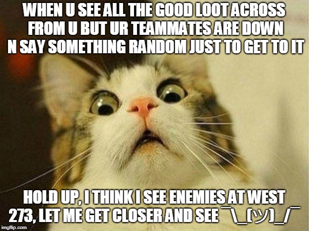 Scared Cat Meme | WHEN U SEE ALL THE GOOD LOOT ACROSS FROM U BUT UR TEAMMATES ARE DOWN N SAY SOMETHING RANDOM JUST TO GET TO IT; HOLD UP, I THINK I SEE ENEMIES AT WEST 273, LET ME GET CLOSER AND SEE ¯\_(ツ)_/¯ | image tagged in memes,scared cat | made w/ Imgflip meme maker