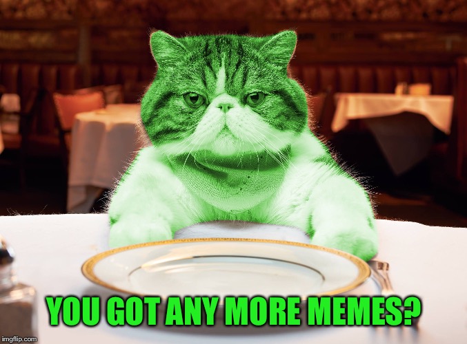 RayCat Hungry | YOU GOT ANY MORE MEMES? | image tagged in raycat hungry,memes,imgflip | made w/ Imgflip meme maker