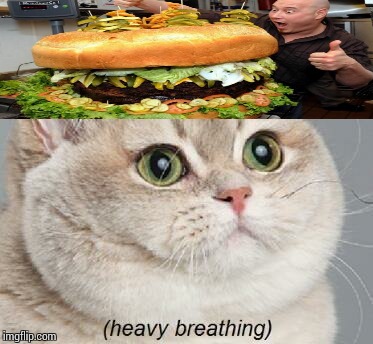 Heavy Breathing Cat | image tagged in memes,heavy breathing cat | made w/ Imgflip meme maker