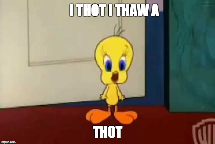 I THOT I THAW A THOT | I THOT I THAW A; THOT | image tagged in thot,tweety bird,looney tunes,funny meme | made w/ Imgflip meme maker
