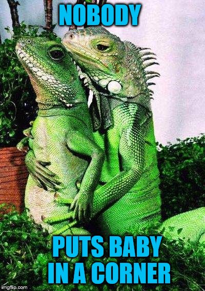 Sorry for the interruption, folks, but I always do the last dance of the season.  | NOBODY; PUTS BABY IN A CORNER | image tagged in memes,iguana,lizards,dirty dancing,ive had the time of my life | made w/ Imgflip meme maker