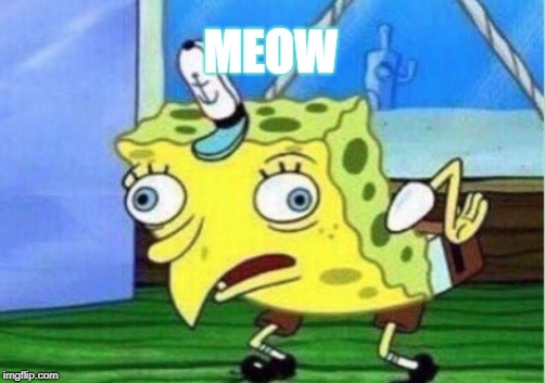 Mocking Spongebob Meme | MEOW | image tagged in memes,mocking spongebob | made w/ Imgflip meme maker