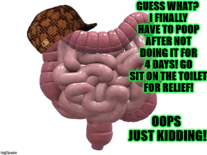 SCUMBAG COLON | GUESS WHAT? I FINALLY HAVE TO POOP AFTER NOT DOING IT FOR 4 DAYS! GO SIT ON THE TOILET FOR RELIEF! OOPS JUST KIDDING! | image tagged in scumbag colon,scumbag | made w/ Imgflip meme maker