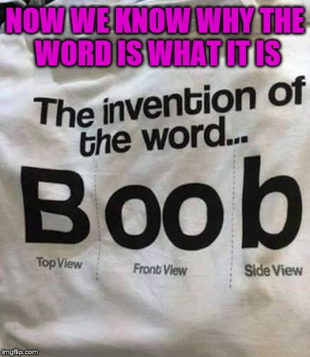 makes sense to me |  NOW WE KNOW WHY THE WORD IS WHAT IT IS | image tagged in words,play on words,word play | made w/ Imgflip meme maker
