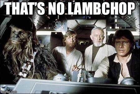 That's no moon | THAT’S NO LAMBCHOP | image tagged in that's no moon | made w/ Imgflip meme maker