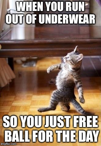 Cool Cat Stroll Meme | WHEN YOU RUN OUT OF UNDERWEAR; SO YOU JUST FREE BALL FOR THE DAY | image tagged in memes,cool cat stroll | made w/ Imgflip meme maker
