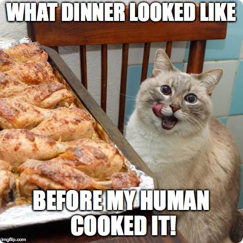 Chicken Lover | WHAT DINNER LOOKED LIKE BEFORE MY HUMAN COOKED IT! | image tagged in chicken lover | made w/ Imgflip meme maker