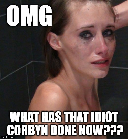 OMG - what has the idiot Corbyn done now | OMG; WHAT HAS THAT IDIOT CORBYN DONE NOW??? | image tagged in regret,corbyn eww,party of haters,communist socialist,funny,momentum | made w/ Imgflip meme maker