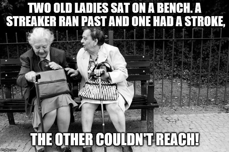 Old dears  | TWO OLD LADIES SAT ON A BENCH. A STREAKER RAN PAST AND ONE HAD A STROKE, THE OTHER COULDN'T REACH! | image tagged in sick,jokes,imgflip,funny memes | made w/ Imgflip meme maker