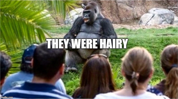 Gorilla Glue | THEY WERE HAIRY | image tagged in gorilla glue | made w/ Imgflip meme maker
