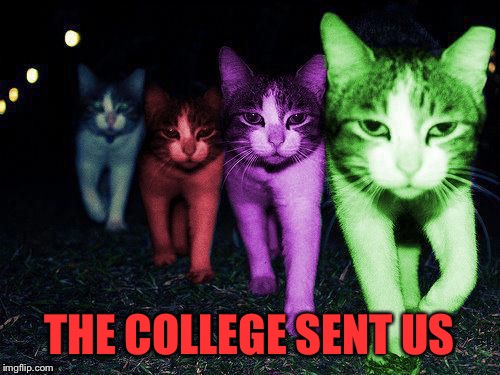 Wrong Neighborhood RayCats | THE COLLEGE SENT US | image tagged in wrong neighborhood raycats | made w/ Imgflip meme maker