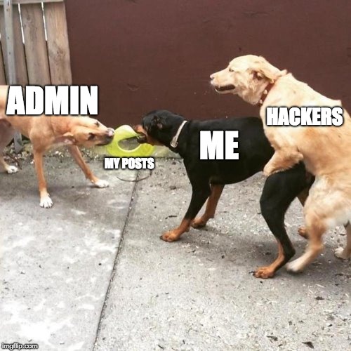 This Is My Life | ADMIN; HACKERS; ME; MY POSTS | image tagged in this is my life | made w/ Imgflip meme maker