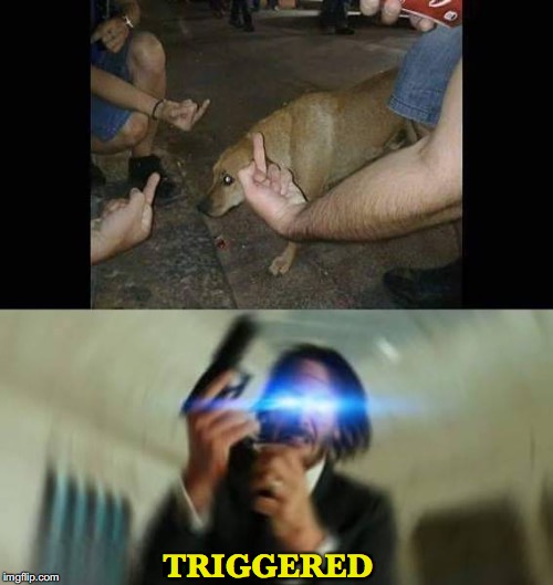 Trigger Finger Response To Middle Finger | TRIGGERED | image tagged in animal rights,john wick,dogs,triggered,keanu reeves,middle finger | made w/ Imgflip meme maker