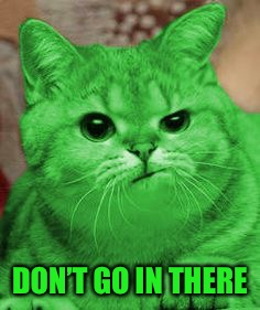 RayCat Annoyed | DON’T GO IN THERE | image tagged in raycat annoyed | made w/ Imgflip meme maker