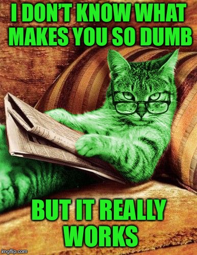 Factual RayCat | I DON’T KNOW WHAT MAKES YOU SO DUMB BUT IT REALLY WORKS | image tagged in factual raycat | made w/ Imgflip meme maker