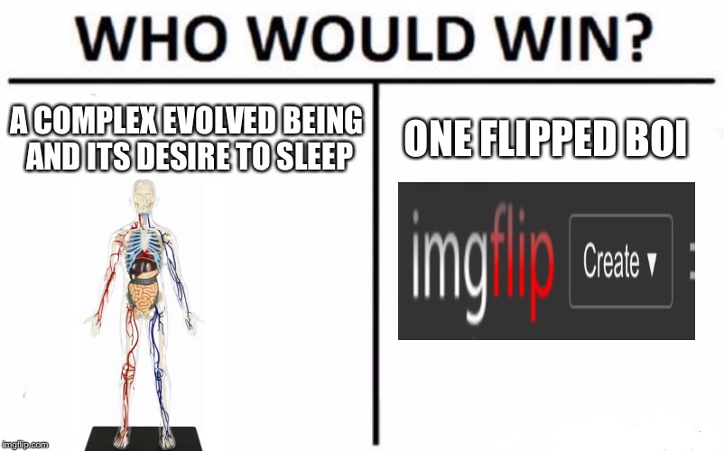 Who Would Win? Meme |  A COMPLEX EVOLVED BEING AND ITS DESIRE TO SLEEP; ONE FLIPPED BOI | image tagged in memes,who would win | made w/ Imgflip meme maker