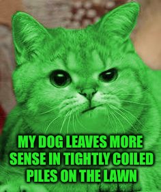 RayCat Annoyed | MY DOG LEAVES MORE SENSE IN TIGHTLY COILED PILES ON THE LAWN | image tagged in raycat annoyed | made w/ Imgflip meme maker