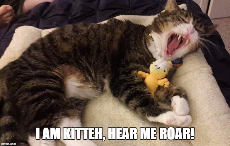 I AM KITTEH, HEAR ME ROAR! | made w/ Imgflip meme maker