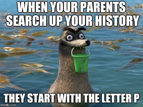 WHEN YOUR PARENTS SEARCH UP YOUR HISTORY; THEY START WITH THE LETTER P | image tagged in stuart rocks | made w/ Imgflip meme maker
