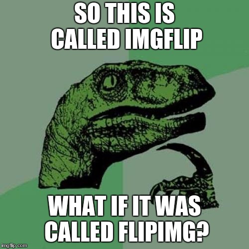 Philosoraptor | SO THIS IS CALLED IMGFLIP; WHAT IF IT WAS CALLED FLIPIMG? | image tagged in memes,philosoraptor | made w/ Imgflip meme maker