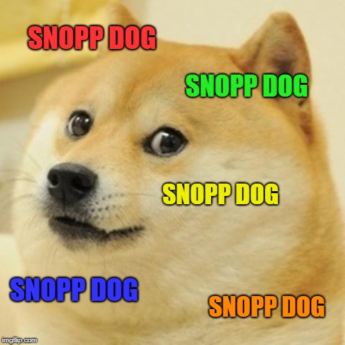 Doge | SNOPP DOG; SNOPP DOG; SNOPP DOG; SNOPP DOG; SNOPP DOG | image tagged in memes,doge | made w/ Imgflip meme maker