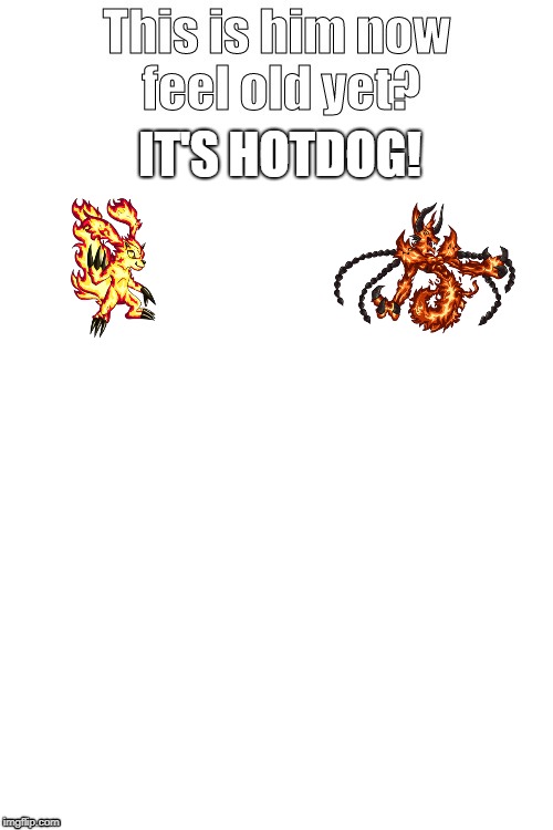 hotdog dogmons | IT'S HOTDOG! | image tagged in this is him now feel old yet | made w/ Imgflip meme maker