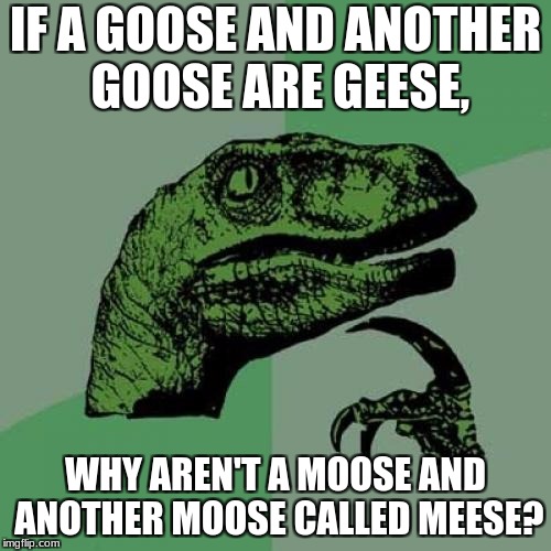 Philosoraptor Meme | IF A GOOSE AND ANOTHER GOOSE ARE GEESE, WHY AREN'T A MOOSE AND ANOTHER MOOSE CALLED MEESE? | image tagged in memes,philosoraptor | made w/ Imgflip meme maker