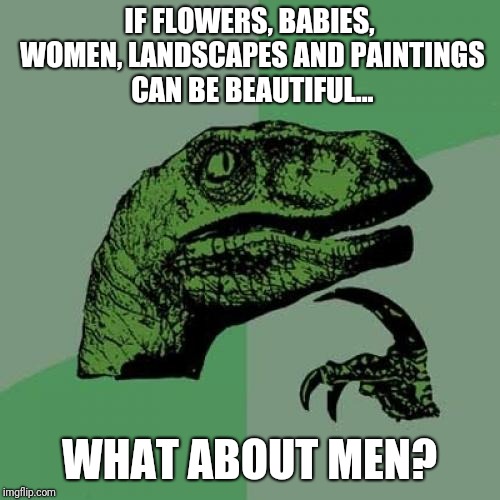 Philosoraptor Meme | IF FLOWERS, BABIES, WOMEN, LANDSCAPES AND PAINTINGS CAN BE BEAUTIFUL... WHAT ABOUT MEN? | image tagged in memes,philosoraptor,beauty | made w/ Imgflip meme maker