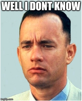forrest gump | WELL I DONT KNOW | image tagged in forrest gump | made w/ Imgflip meme maker
