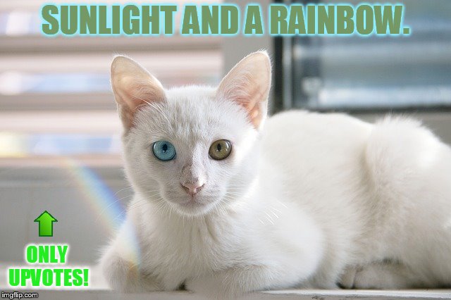 SUNLIGHT AND A RAINBOW. ONLY UPVOTES! | made w/ Imgflip meme maker