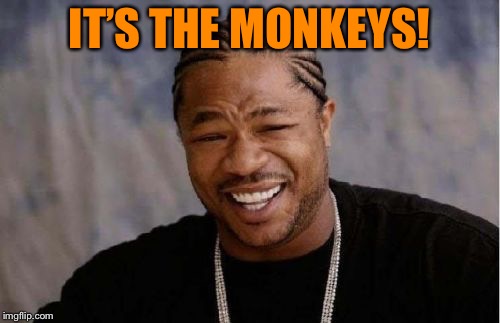 Yo Dawg Heard You Meme | IT’S THE MONKEYS! | image tagged in memes,yo dawg heard you | made w/ Imgflip meme maker