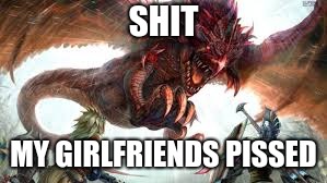Monster Hunter | SHIT; MY GIRLFRIENDS PISSED | image tagged in monster hunter | made w/ Imgflip meme maker