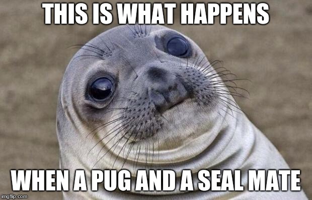 Awkward Moment Sealion | THIS IS WHAT HAPPENS; WHEN A PUG AND A SEAL MATE | image tagged in memes,awkward moment sealion | made w/ Imgflip meme maker