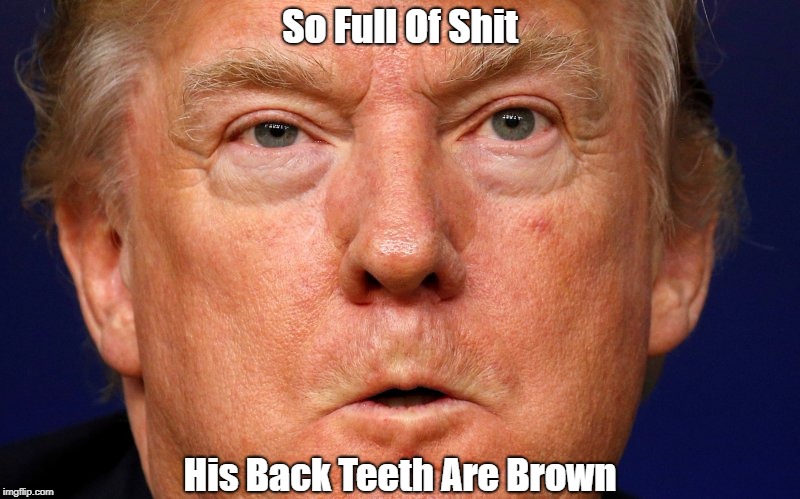 "So Full Of Shit His Back Teeth Are Brown" | So Full Of Shit; His Back Teeth Are Brown | image tagged in deplorable donald,despicable donald,detestable donald,devious donald,dishonorable donald,mendacious donald | made w/ Imgflip meme maker