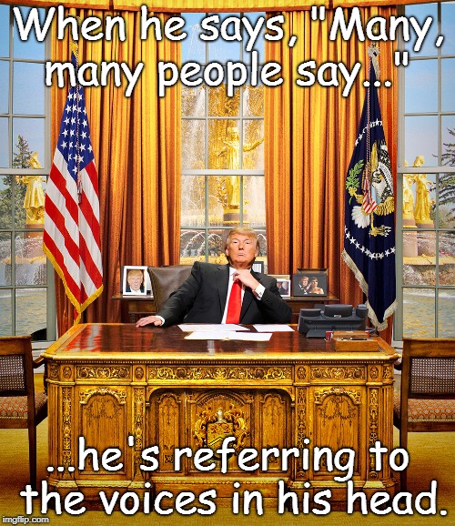 TRUMP TO GOP |  When he says, "Many, many people say..."; ...he's referring to the voices in his head. | image tagged in trump to gop | made w/ Imgflip meme maker