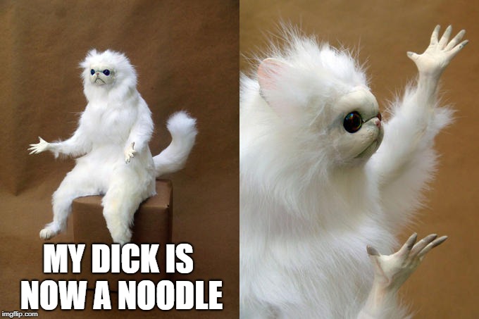 Persian Cat Room Guardian Meme | MY DICK IS NOW A NOODLE | image tagged in memes,persian cat room guardian | made w/ Imgflip meme maker