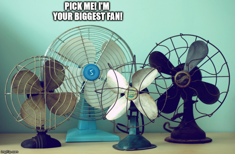 Your Biggest Fan? | PICK ME! I'M YOUR BIGGEST FAN! | image tagged in funny meme,funny,play on words,fans | made w/ Imgflip meme maker