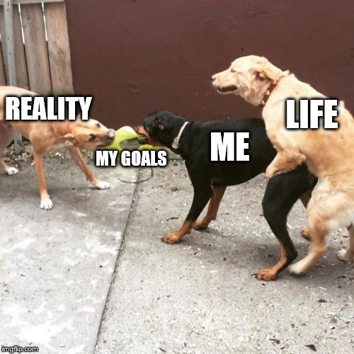 I only want to get good things out of life, but I only get life; giving it to me good. | LIFE; REALITY; ME; MY GOALS | image tagged in this is my life,memes,life | made w/ Imgflip meme maker