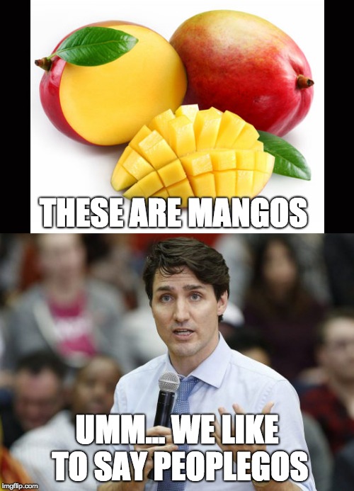 Peoplegos | THESE ARE MANGOS; UMM... WE LIKE TO SAY PEOPLEGOS | image tagged in funny,memes,justin trudeau,peoplekind,mango,justin | made w/ Imgflip meme maker