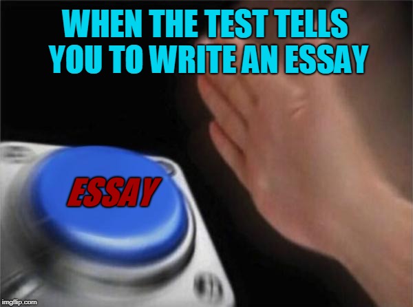 Blank Nut Button Meme | WHEN THE TEST TELLS YOU TO WRITE AN ESSAY; ESSAY | image tagged in memes,blank nut button | made w/ Imgflip meme maker