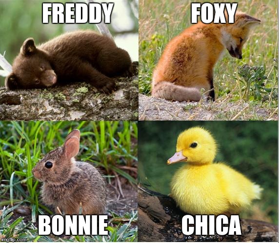 FNAF | FREDDY                  FOXY; BONNIE                 CHICA | image tagged in fnaf | made w/ Imgflip meme maker