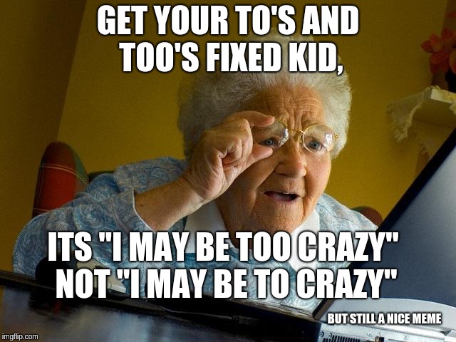 Grandma Finds The Internet Meme | GET YOUR TO'S AND TOO'S FIXED KID, ITS "I MAY BE TOO CRAZY" NOT "I MAY BE TO CRAZY" BUT STILL A NICE MEME | image tagged in memes,grandma finds the internet | made w/ Imgflip meme maker