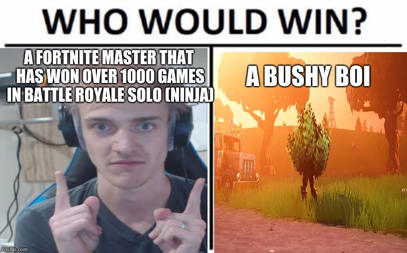 Ever Since I Just Played Fortnite, I Just Started Getting Addicted... | A FORTNITE MASTER THAT HAS WON OVER 1000 GAMES IN BATTLE ROYALE SOLO (NINJA); A BUSHY BOI | image tagged in fortnite,who would win,bush,ninja,memes | made w/ Imgflip meme maker
