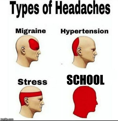 I really freakin' hate school | SCHOOL | image tagged in types of headaches meme,school | made w/ Imgflip meme maker