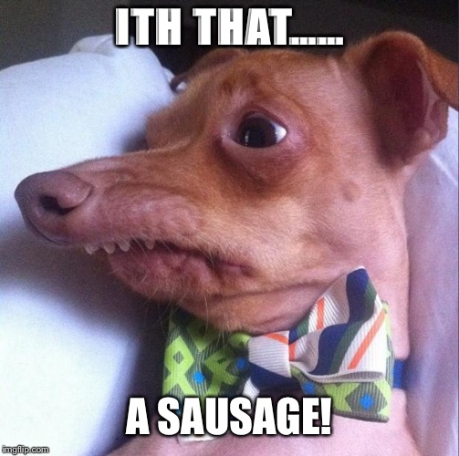 Tuna the dog (Phteven) | ITH THAT……; A SAUSAGE! | image tagged in tuna the dog phteven | made w/ Imgflip meme maker