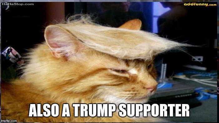 ALSO A TRUMP SUPPORTER | made w/ Imgflip meme maker