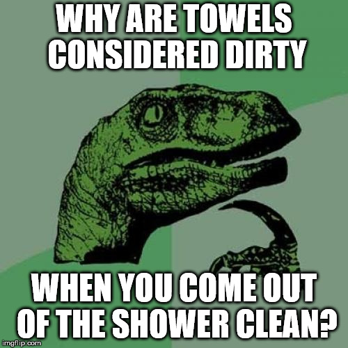 Towels? | WHY ARE TOWELS CONSIDERED DIRTY; WHEN YOU COME OUT OF THE SHOWER CLEAN? | image tagged in memes,philosoraptor | made w/ Imgflip meme maker