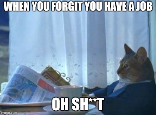 I Should Buy A Boat Cat Meme | WHEN YOU FORGIT YOU HAVE A JOB; OH SH**T | image tagged in memes,i should buy a boat cat | made w/ Imgflip meme maker