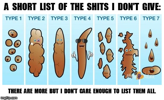 A Short List of the Shits I Don't Give | A  SHORT  LIST  OF  THE  SHITS  I  DON'T  GIVE:; THERE  ARE  MORE  BUT  I  DON'T  CARE  ENOUGH  TO  LIST  THEM  ALL. | image tagged in shit,i don't give a shit | made w/ Imgflip meme maker
