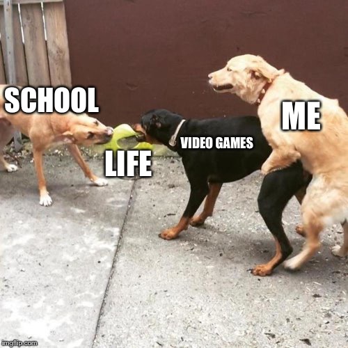 This Is My Life | SCHOOL; ME; VIDEO GAMES; LIFE | image tagged in this is my life | made w/ Imgflip meme maker